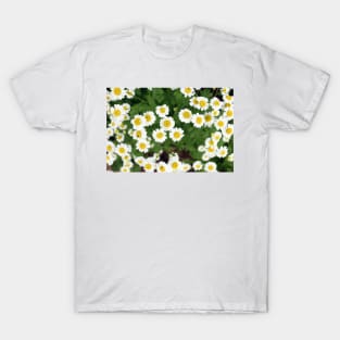 chamomile flowers T-Shirt